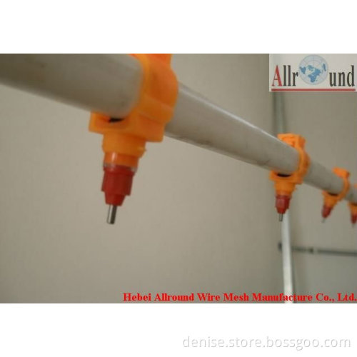 Best selling water nipple drinker chicken
